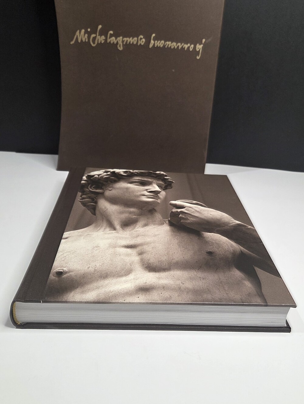 Folio Society Michelangelo Howard Hibbard 2007 Hardcover Slipcase Art Book
